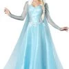 In Character Snow And Ice Princess Adult Costume