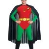 Rubies Robin Men's Costume