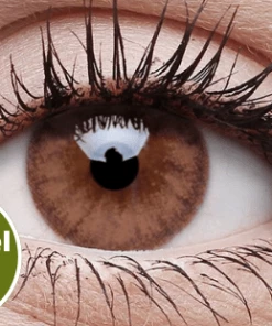 ColourVue Brown Coloured Contact Lenses Buy Costumes