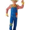 Rubies Scarecrow Sam Children's Costume