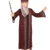 Rubies Professor Dumbledore Children's Book Week Harry Potter Costume Buy Costumes