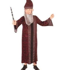 Rubies Professor Dumbledore Children's Book Week Harry Potter Costume Buy Costumes