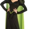 Rubies Wizard Of Oz Wicked Witch Of The West Adult Deluxe Costume Womens