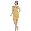 Amscan Champagne Flapper 1920s Fringed Dress Buy Costumes