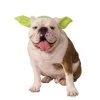 Rubies Buy Costumes Yoda Headband For Dogs
