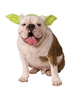 Rubies Buy Costumes Yoda Headband For Dogs