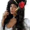 Interalia Womens Amy Winehouse Wig Costume Fancy Dress Accessory
