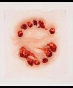 Tinsley Transfers Animal Bite Fake Realistic Wound 3D FX Transfer Halloween Makeup