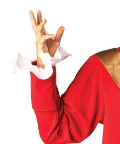 Rubie's Captain Hook Pirate Costume For Sale