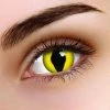 ColourVue Cat Eye Contact Lenses Multi Use Halloween Contacts Womens