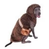 Rubies Chewbarka Dog Costume