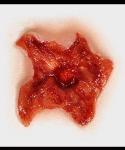 Tinsley Transfers Buy Costumes Exit Wound 3D FX Transfers Halloween Makeup