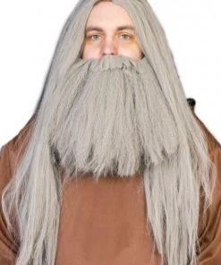 Interalia Buy Costumes Grey Wizard Wig And Beard Costume Fancy Dress Set
