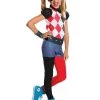 Rubie's Harley Quinn DC Super Hero Girls Classic Costume