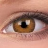 ColourVue Buy Costumes Hazel Coloured Contact Lenses Trueblends