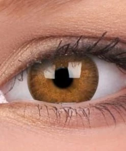 ColourVue Buy Costumes Hazel Coloured Contact Lenses Trueblends