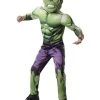 Rubies Kids Hulk Deluxe Boys Costume