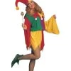 Rubies Kings Jester Women's Medieval Costume