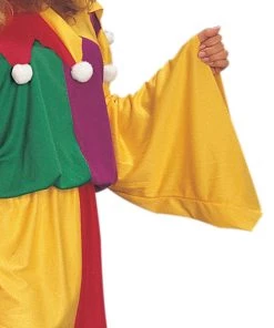 Rubies Kings Jester Women's Medieval Costume