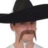 Carnival Products Mexican Brown Moustache Western Cowboy Bandit Costume Mo Mens