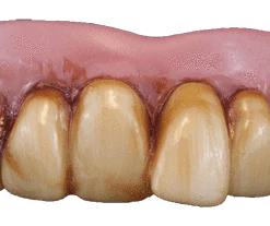 Sweidas Buy Costumes Pirate False Costume Pearl Teeth