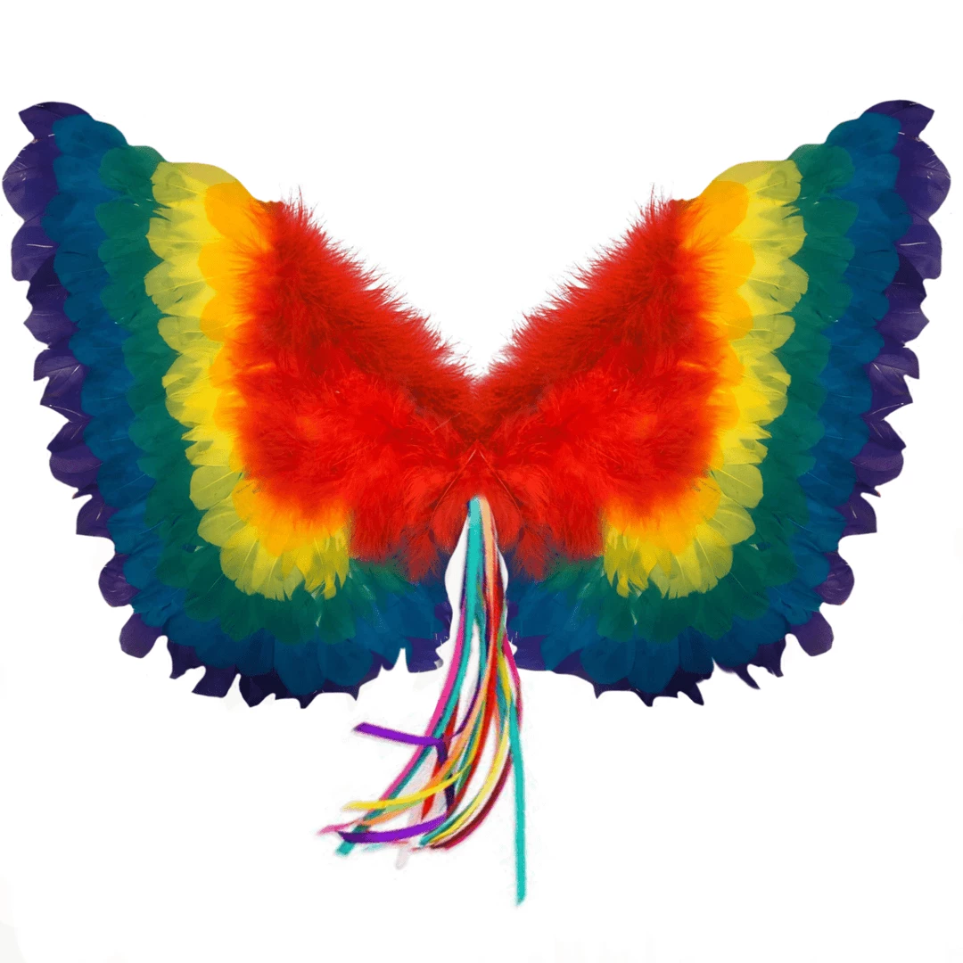 Sweidas Rainbow Feather Wings Womens 3 Sweidas Rainbow Feather Wings Womens