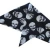 Carnival Products Skull Pirate Bandanna