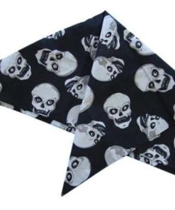 Carnival Products Skull Pirate Bandanna