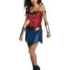 Rubie's Wonder Woman Justice League Classic Adult Costume