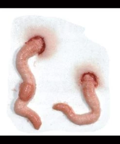 Tinsley Transfers Worm 3D SFX Halloween Makeup Transfer