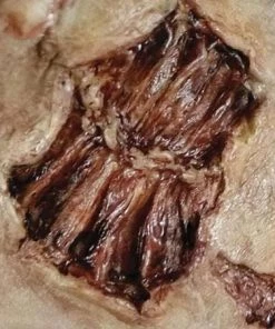 Tinsley Transfers Zombie Bite Gory Makeup 3D FX Transfers Halloween Costume Scar Buy Costumes