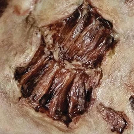 Tinsley Transfers Zombie Bite Gory Makeup 3D FX Transfers Halloween Costume Scar Buy Costumes 3 Tinsley Transfers Zombie Bite Gory Makeup 3D FX Transfers Halloween Costume Scar Buy Costumes