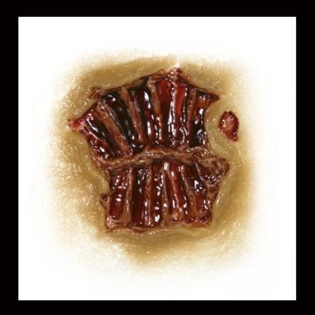 Tinsley Transfers Zombie Bite Gory Makeup 3D FX Transfers Halloween Costume Scar Buy Costumes 4 Tinsley Transfers Zombie Bite Gory Makeup 3D FX Transfers Halloween Costume Scar Buy Costumes