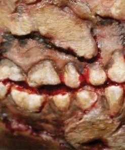 Tinsley Transfers Zombie Cheek Decay Horror Makeup Costume Halloween 3D FX Transfers