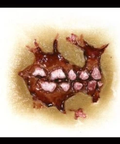 Tinsley Transfers Zombie Cheek Decay Horror Makeup Costume Halloween 3D FX Transfers