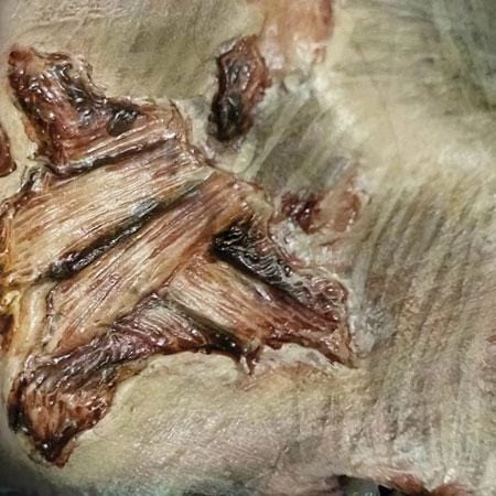 Tinsley Transfers Buy Costumes Zombie Gore Halloween Costume Makeup 3D FX Transfers 3 Tinsley Transfers Buy Costumes Zombie Gore Halloween Costume Makeup 3D FX Transfers