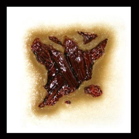 Tinsley Transfers Buy Costumes Zombie Gore Halloween Costume Makeup 3D FX Transfers 4 Tinsley Transfers Buy Costumes Zombie Gore Halloween Costume Makeup 3D FX Transfers