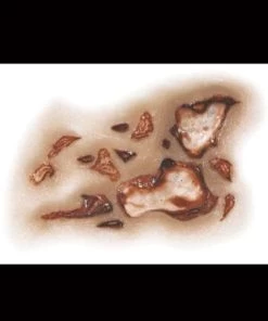 Tinsley Transfers Zombie Jawbone Scar Halloween Horror Makeup 3D FX Transfers Buy Costumes