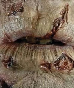 Tinsley Transfers Zombie Lips Makeup Halloween Costume Party 3D FX Transfers Buy Costumes