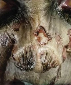 Tinsley Transfers Zombie Nose Horror 3D FX Transfers Halloween Costume Makeup Buy Costumes