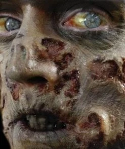 Tinsley Transfers Zombie Rot Face Wounds Horror Makeup Halloween 3D FX Transfers