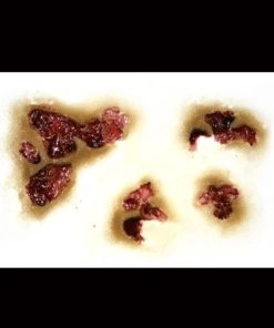 Tinsley Transfers Zombie Rot Face Wounds Horror Makeup Halloween 3D FX Transfers