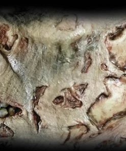 Tinsley Transfers Zombie Jawbone Scar Halloween Horror Makeup 3D FX Transfers Buy Costumes