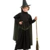 Rubies Wicked Witch Of The West Wizard Of Oz Children's Costume