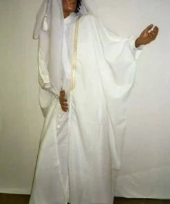 Disguises Arab Prince Mens Hire Costume