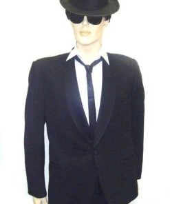 Disguises Music Movie Star Brothers Men's Hire Costume