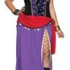 Disguises Hire Costumes Fortune Teller Womens Plus Hire Costume