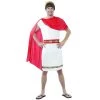 Sweidas Roman Mens Greek Toga Halloween Party Caesar Fancy Dress Costume