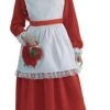 Disguises Mrs Claus Traditional Womens Costume Hire