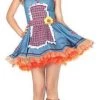 Disguises Scarecrow Sexy Womens Costume Hire